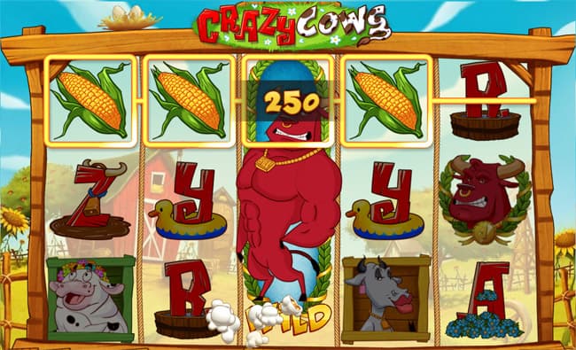 Crazy Cows slot Play'n GO