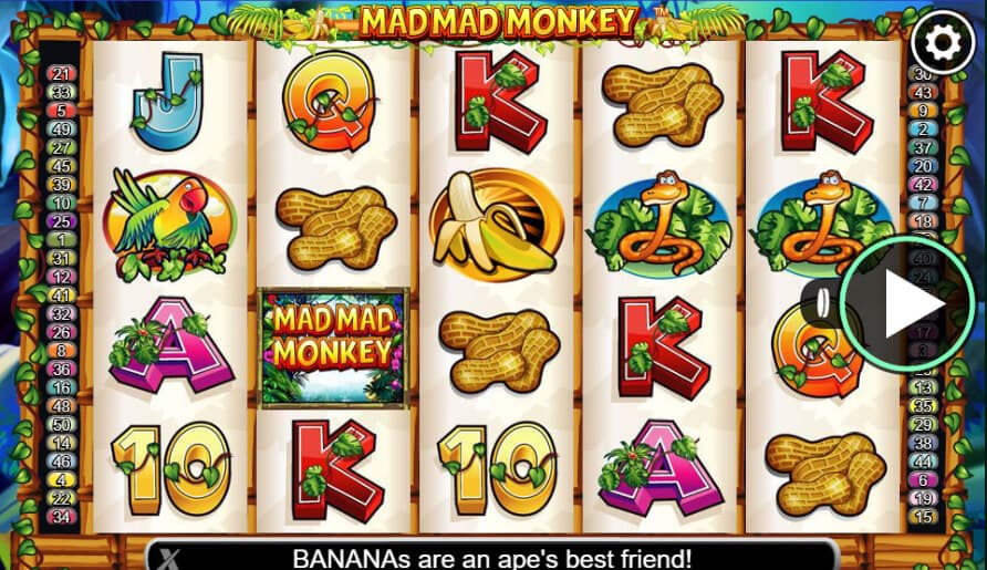 mad mad monkey slot review