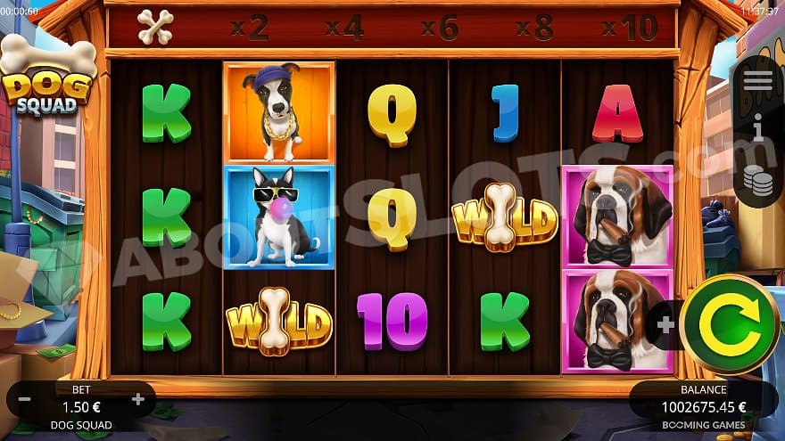 Five reels on a dog house with a multiplier on top. 