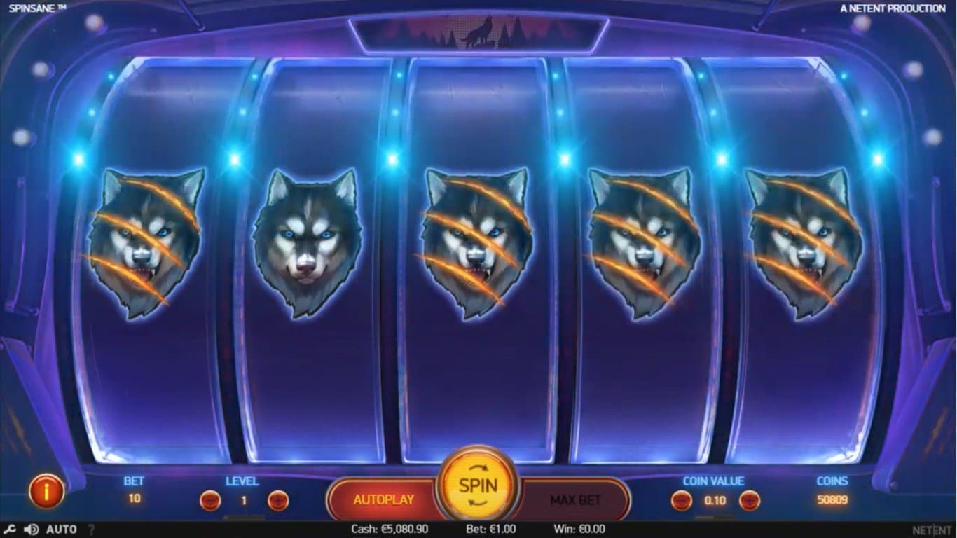 spinsane slot