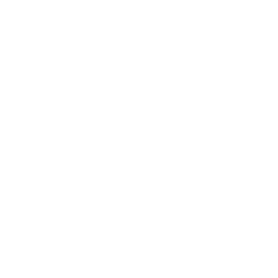 Light & Wonder Banner showing logo