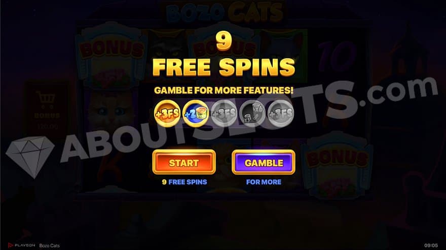 A menu letting the player gamble 9 free spins for extra features.