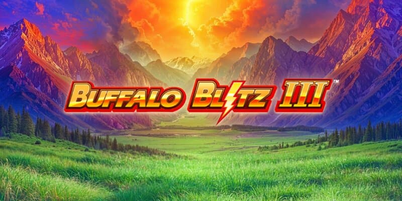 Buffalo Blitz 3 Banner