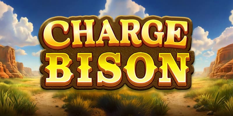 Charge Bison Banner