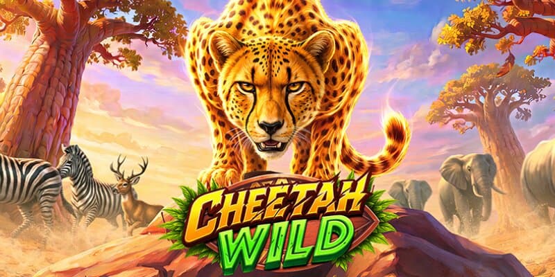 Cheetah Wild Banner