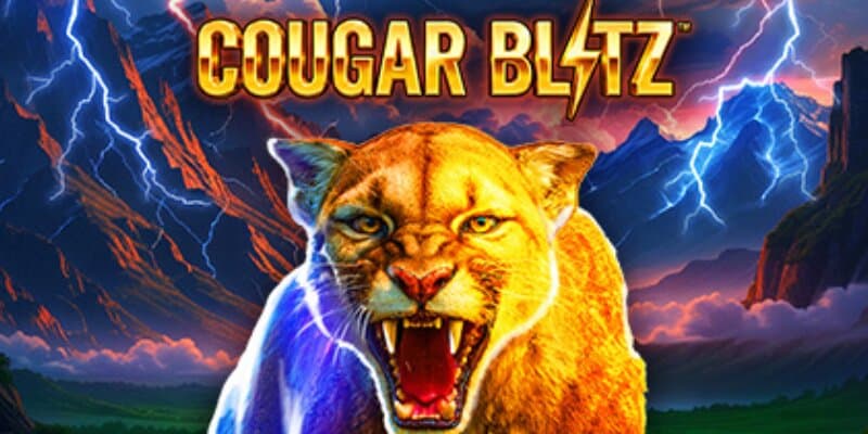 Cougar Blitz Banner