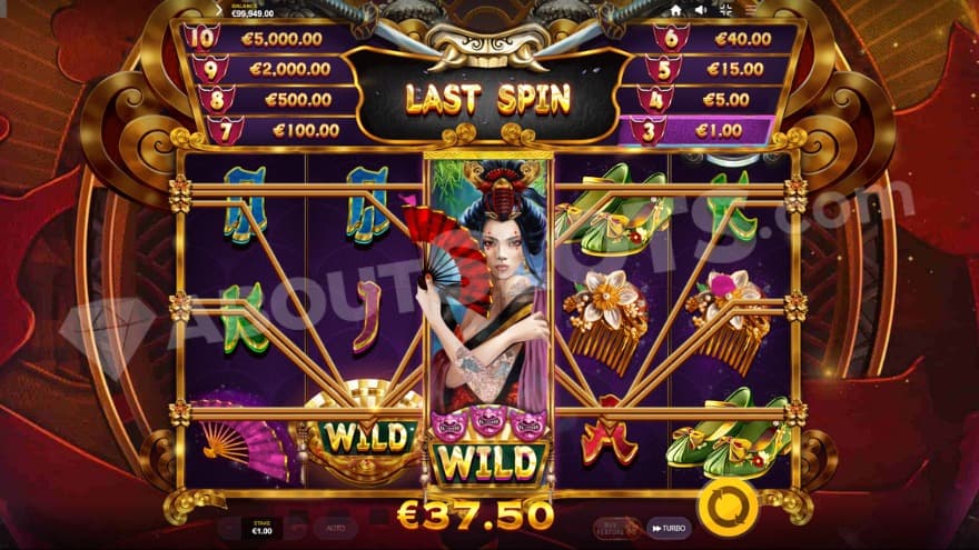 Free Spins bonus game with an expanded wild on the middle reel.