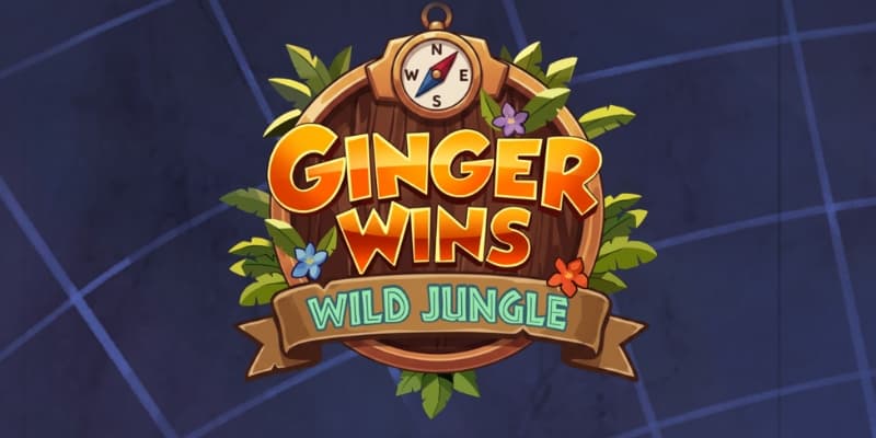 Ginger Wins Banner