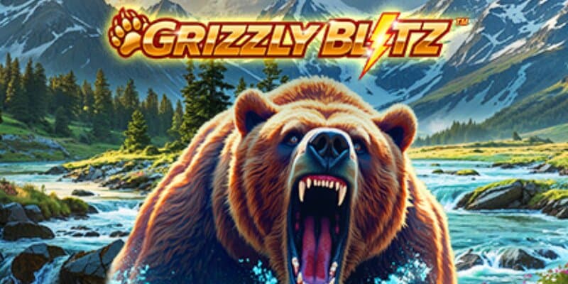 Grizzly Blitz Banner
