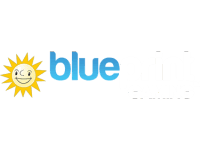 Blueprint Gaming Banner showing logo