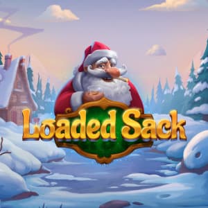 Loaded Sack Slot Image