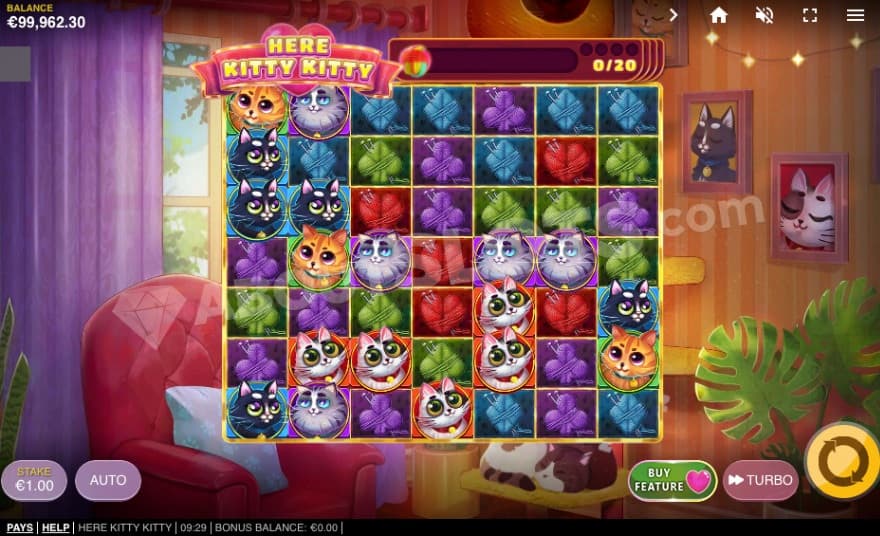 Base game where you can see a cat who sleeps.