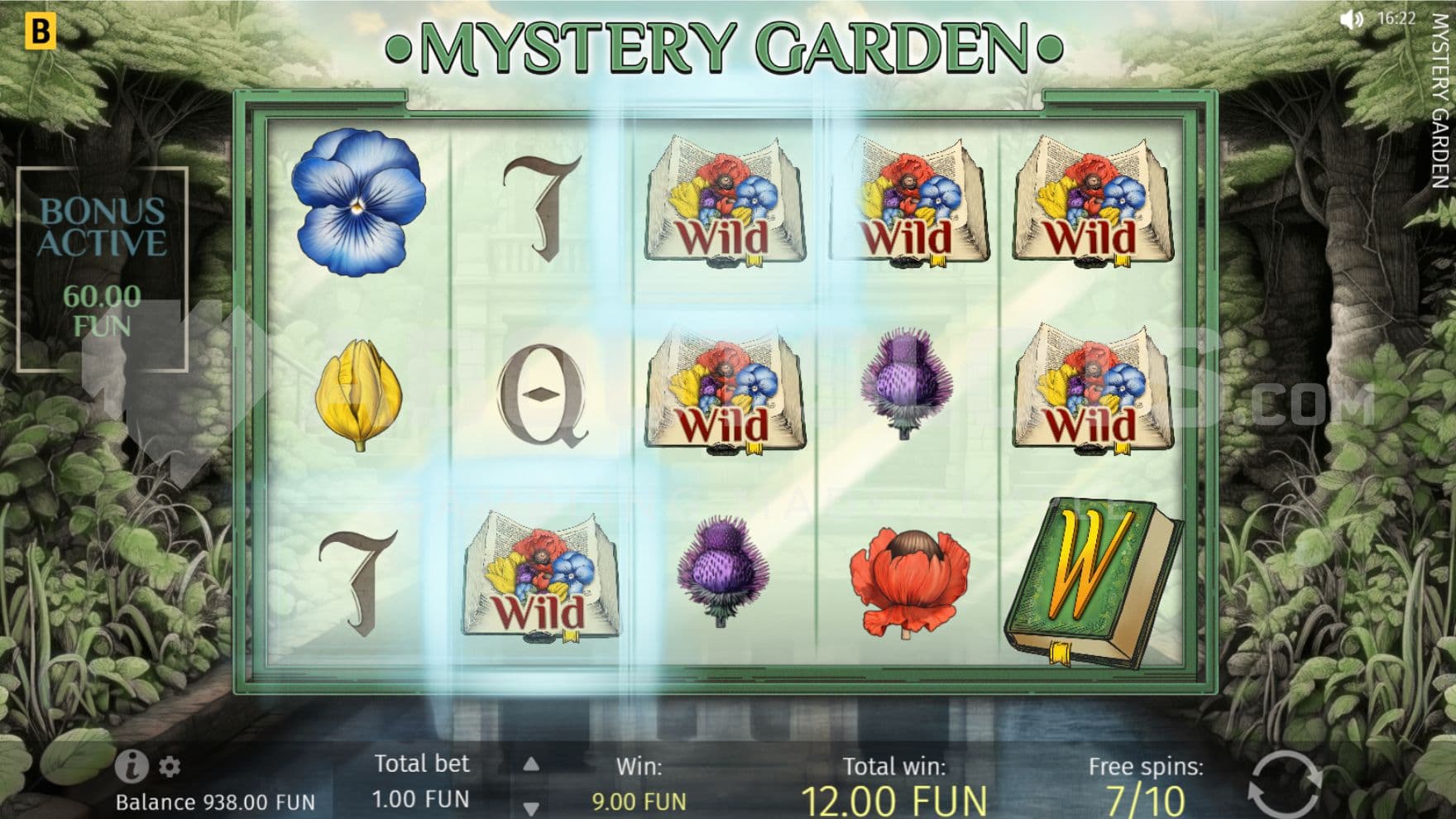 Wild Symbols in view