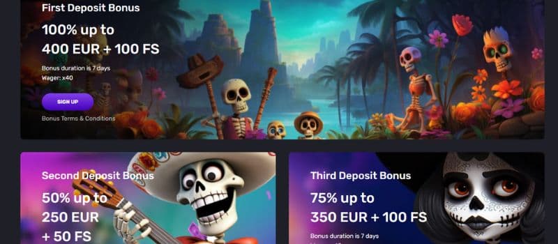 The welcome package information and attached pictures of skeletons.