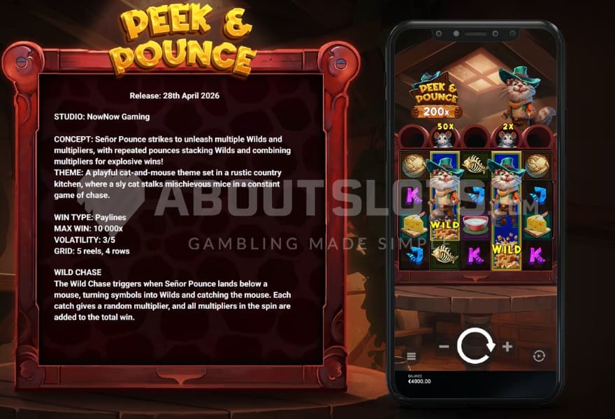 Peek&Pounce-Info-slot.jpg