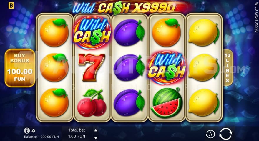 1X Bet Size