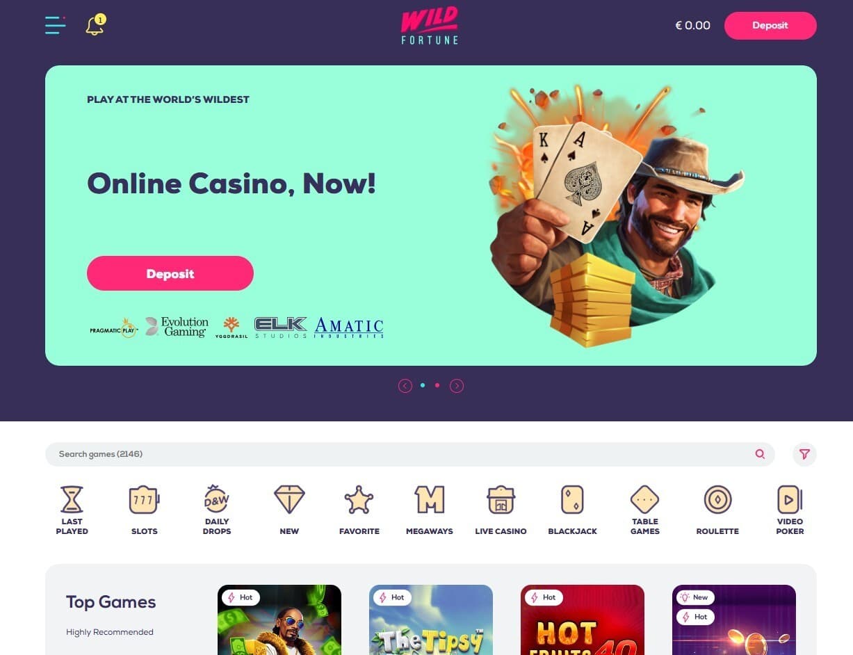 The landing page of Wild Fortune Casino showcases the software providers and casino games.