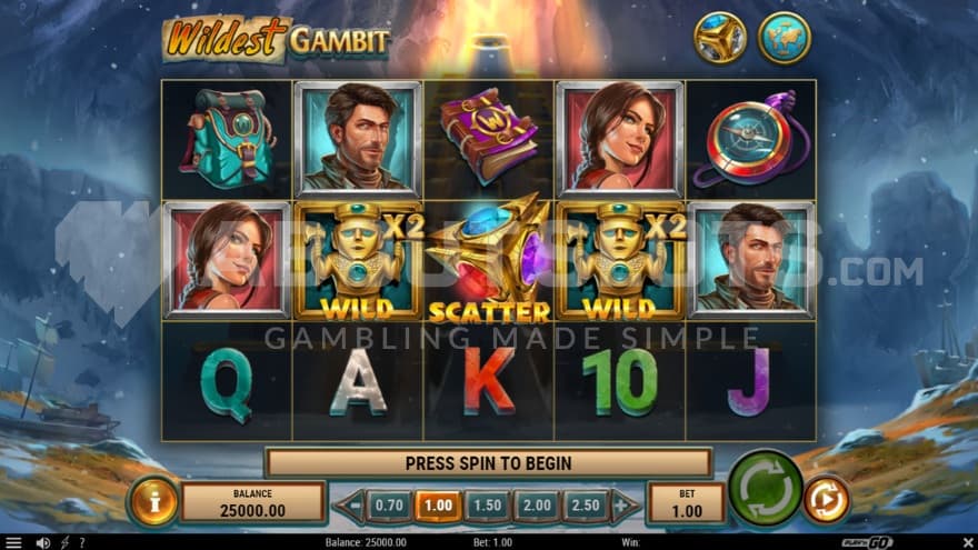 Wild Multiplier X2 on reels 2 and 4