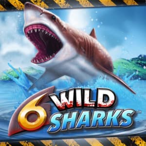 6 Wild Sharks Slot Image