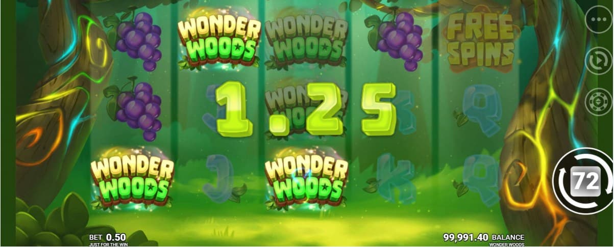 Wonder Woods Slot Gamepaly