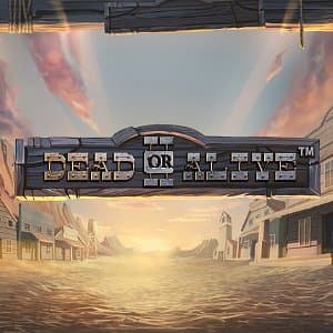 Dead or Alive II  Slot Image