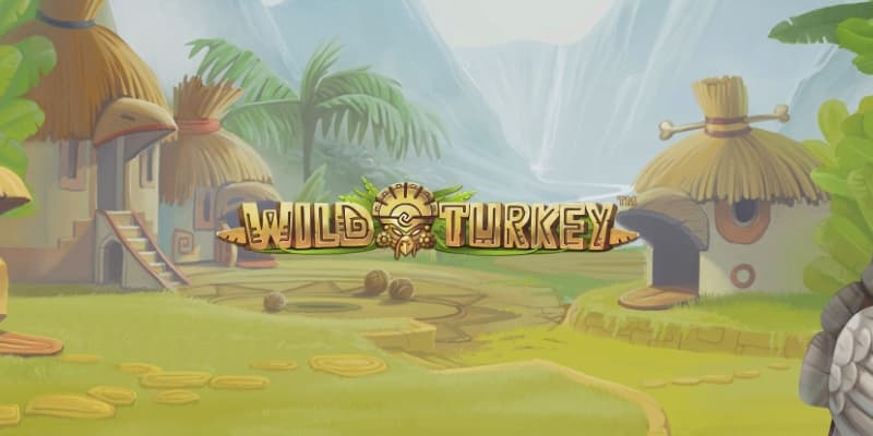 demo play bg