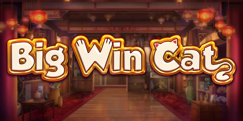 demo play bg