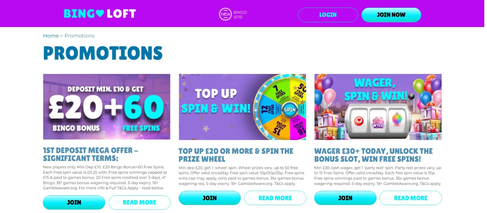 BingoLoft Casino Promotions page with wheel prizes, spin party reels 