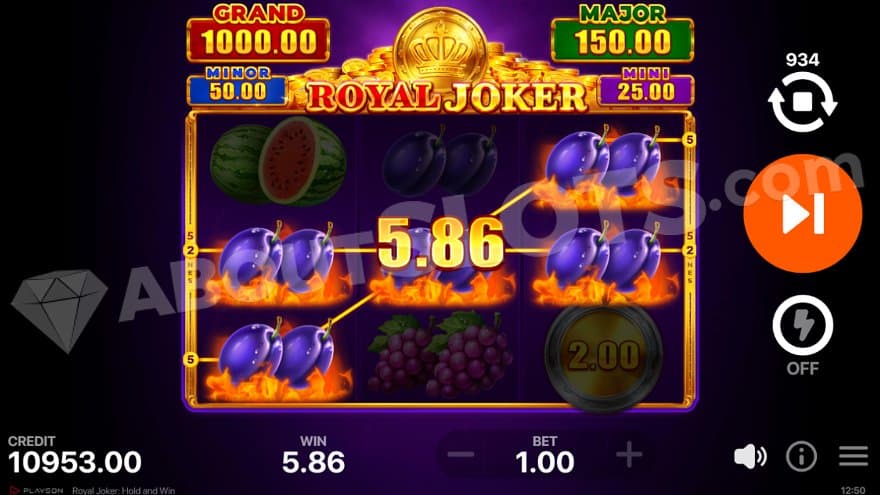 A win with plum symbols on two paylines.