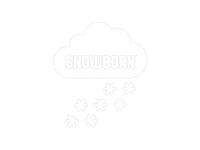 Snowborn Banner showing logo