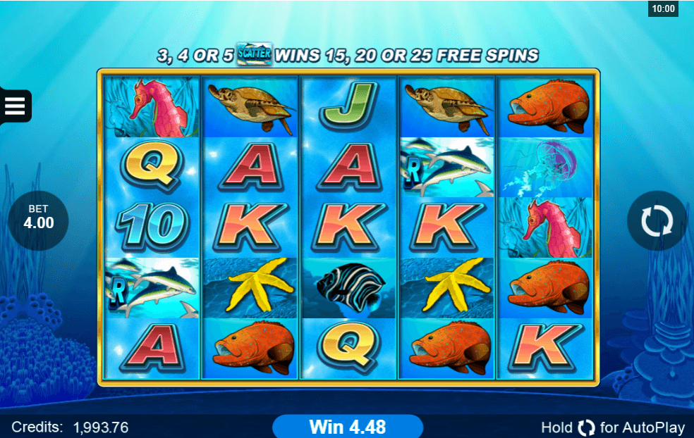Dolphin Coast slot gameplay