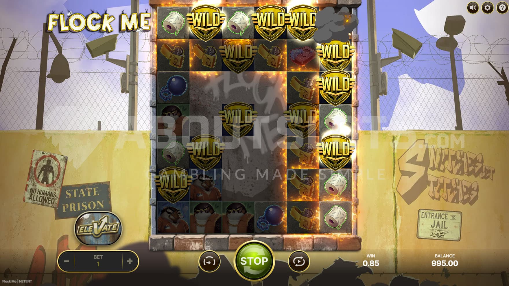 Cross Wild feature triggered in the base game, transforming symbols into matching instances and Wilds.