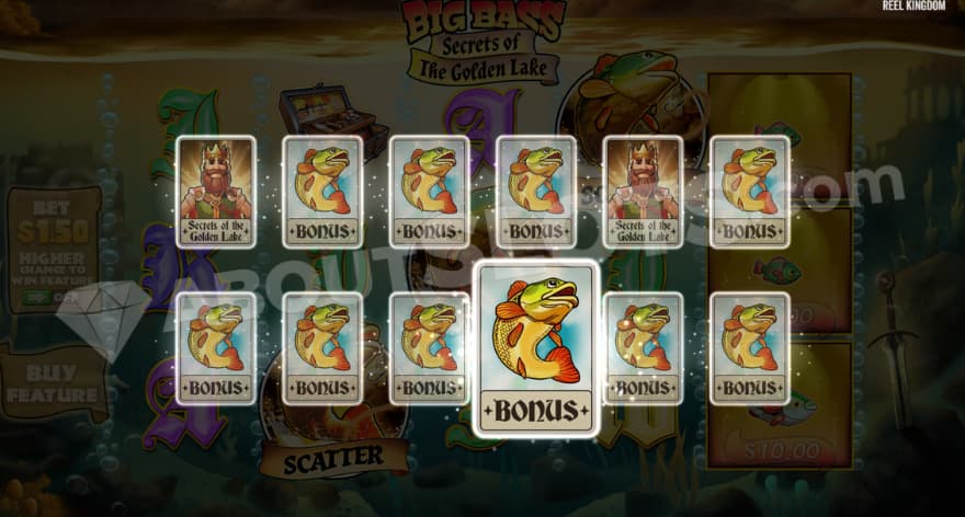 Bonus game reveal feature with twelve cards being present on the screen.