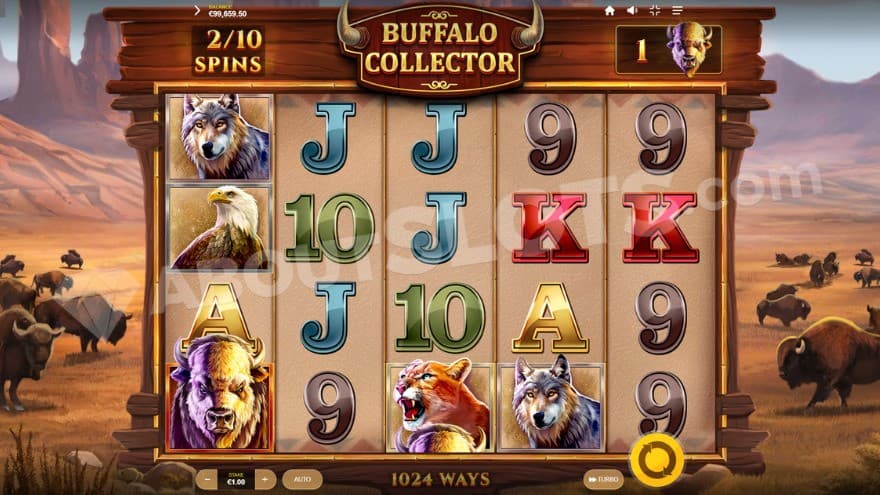 Base game with one buffalo symbol on the reels.