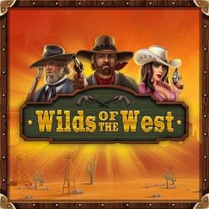 Wilds of the West Slot Image