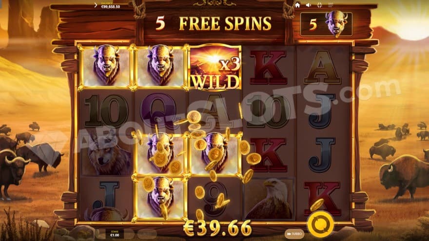 Free Spins bonus game with a 3X wild on the middle reel.