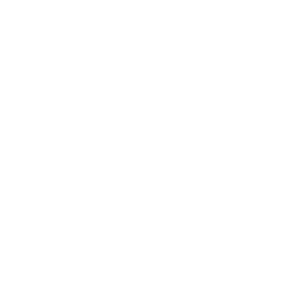 LeoVegas Studios Banner showing logo