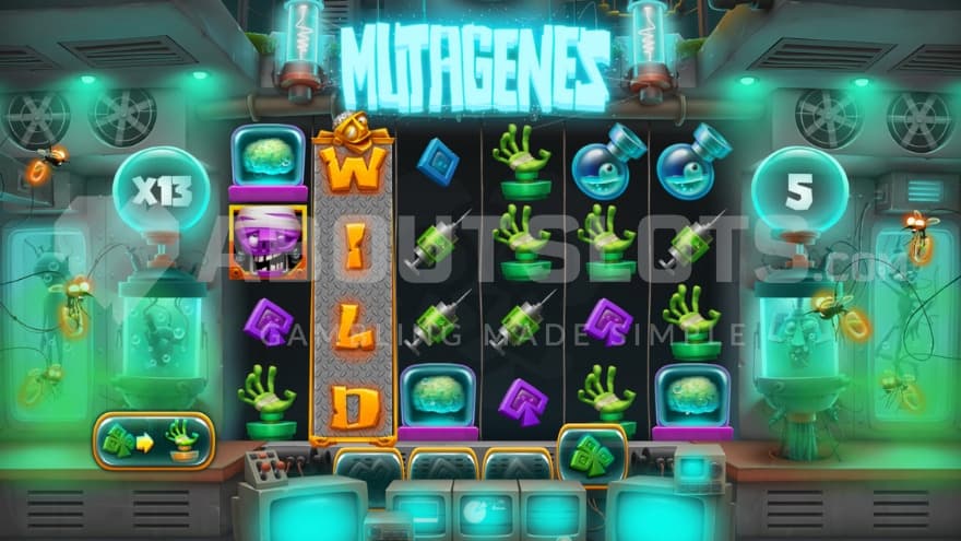 Free Spins bonus game with a current 13X win multiplier on the left.