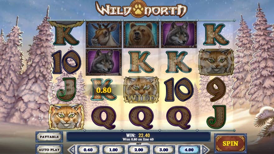Bonus game where a win is created with wild symbols.