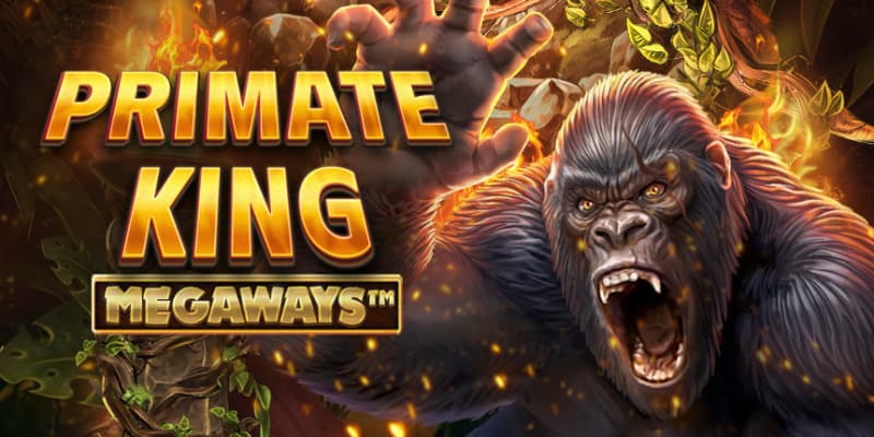 demo play bg