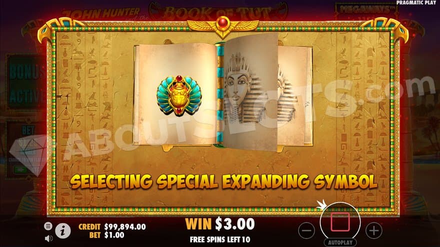 One of the regular-paying symbols are chosen as Special Expanding Symbol before the Free Spins start.