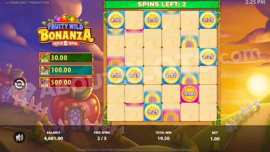 Nine cash symbols with values from 0.25X to 5X the bet in the bonus feature.