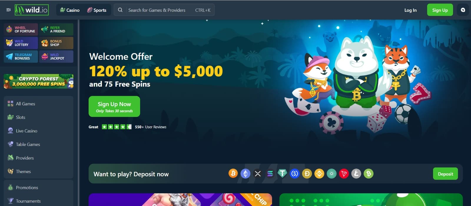 Wild.io Casino landing page with 120% welcome bonus up to 5000 USD