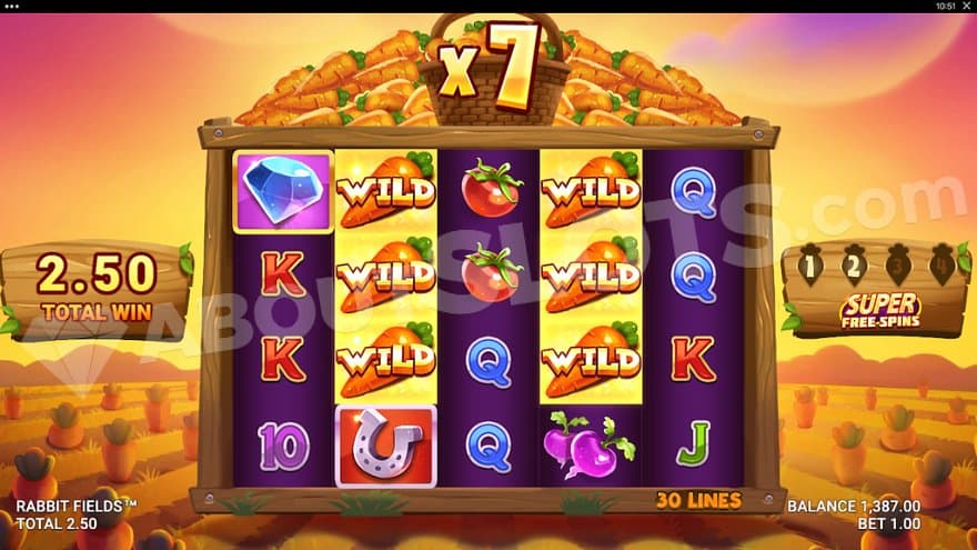 Wild Symbols on reels 2 and 4 in the Super Free Spins.