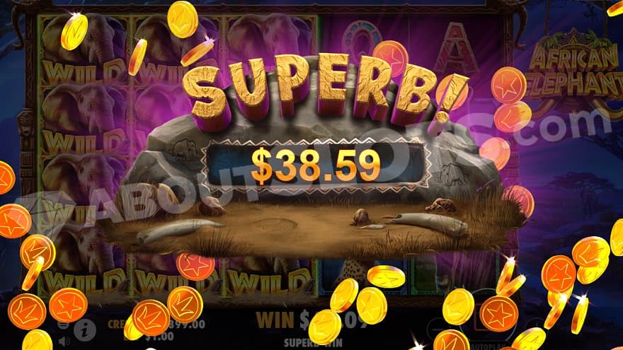 A picture saying "Superb! $38.59."