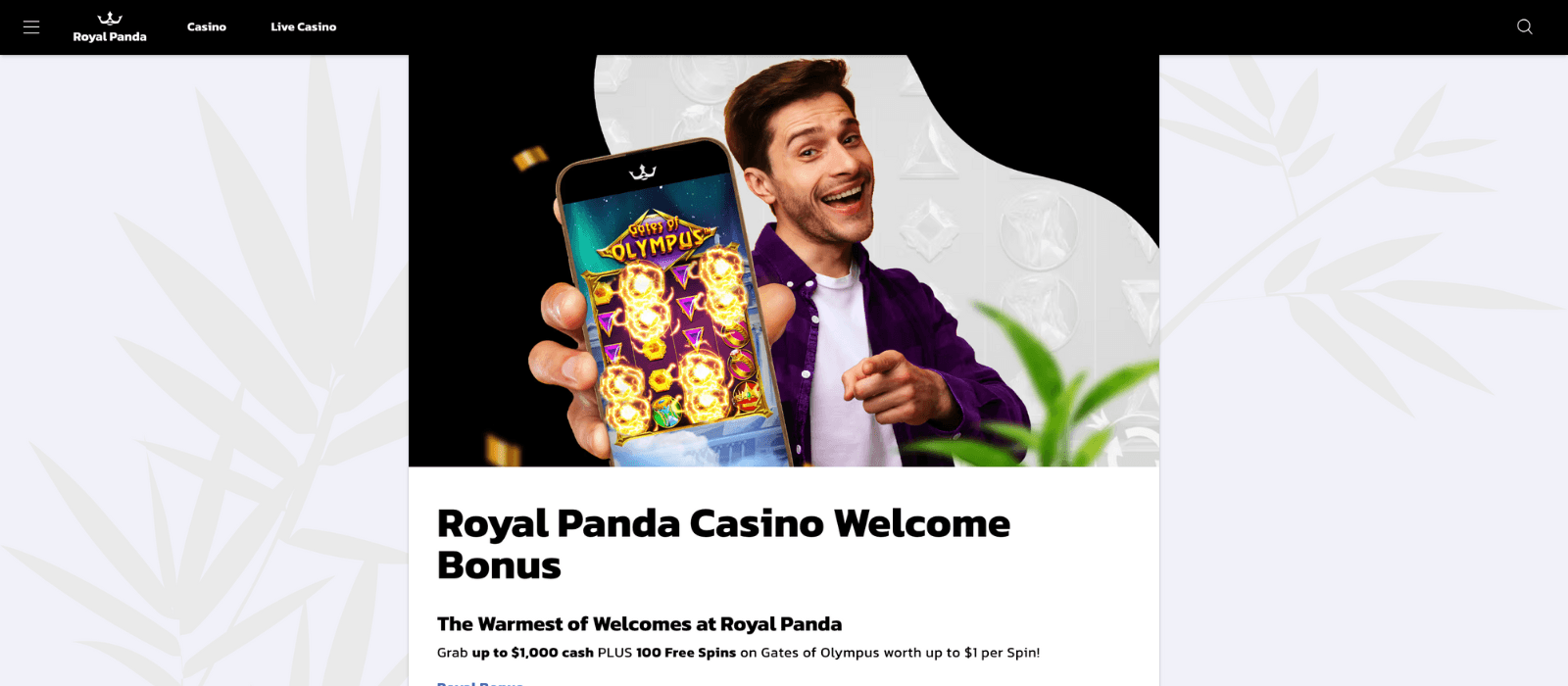 Royal Panda Casino Welcome Bonus terms
