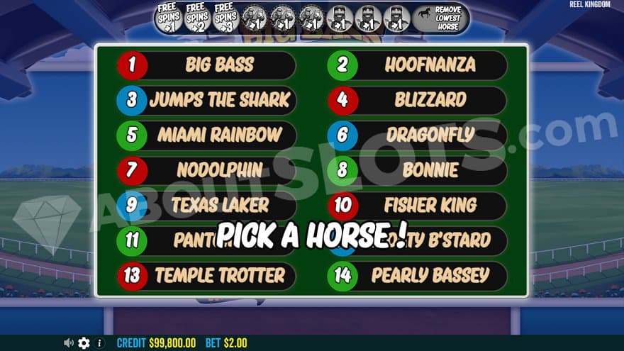 A screen with the names of 14 horses.