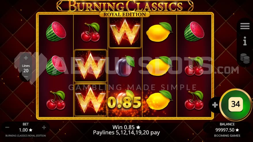 Wild Symbol on reel 2 and 3