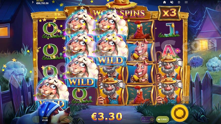 Six Wild sheep on the reels in the free spins.