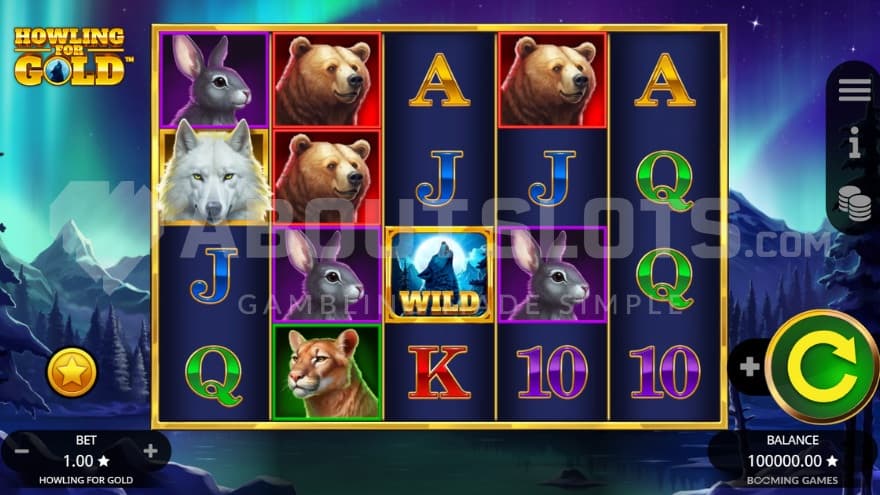 Wild Symbol in reel 3